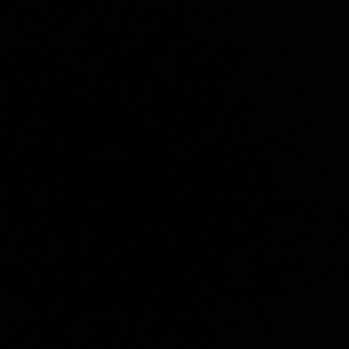 Photo de profil de l'utilisateur