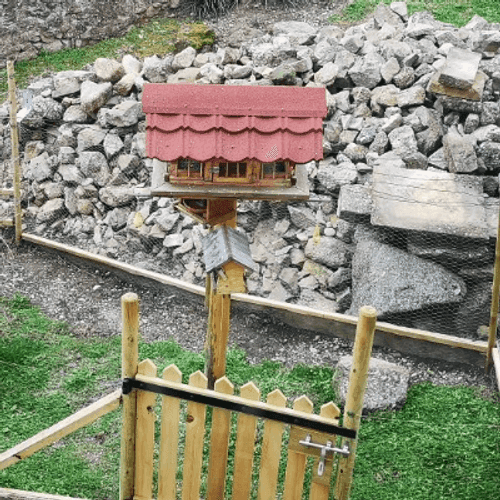 Photo de profil de l'utilisateur